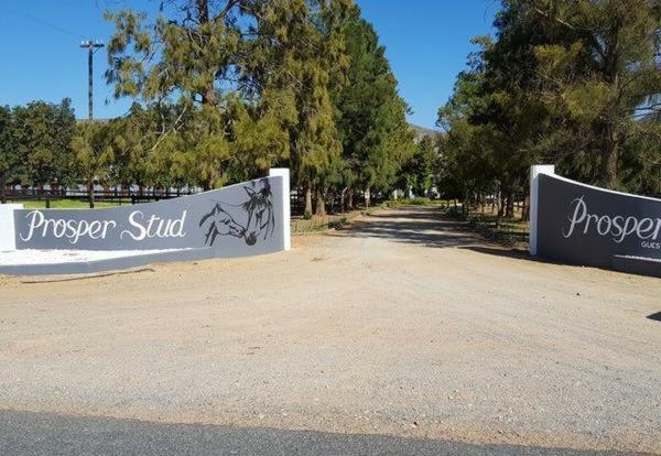 Prosper Stud Guest House Robertson Exterior foto